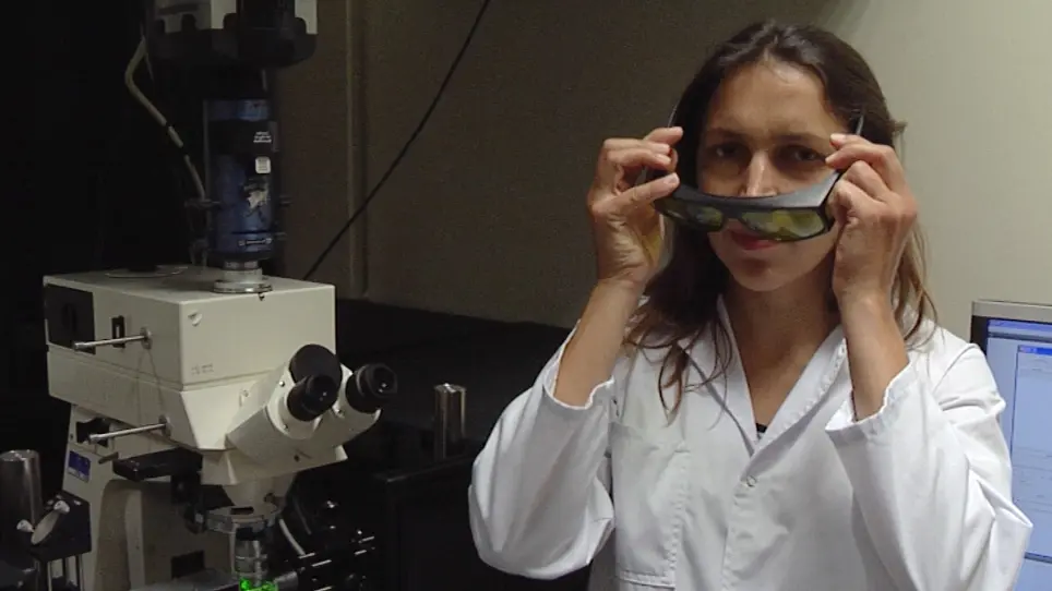 Probing Cell Mechanics with Bead-Free Optical Tweezers in the <em>Drosophila</em> Embryo