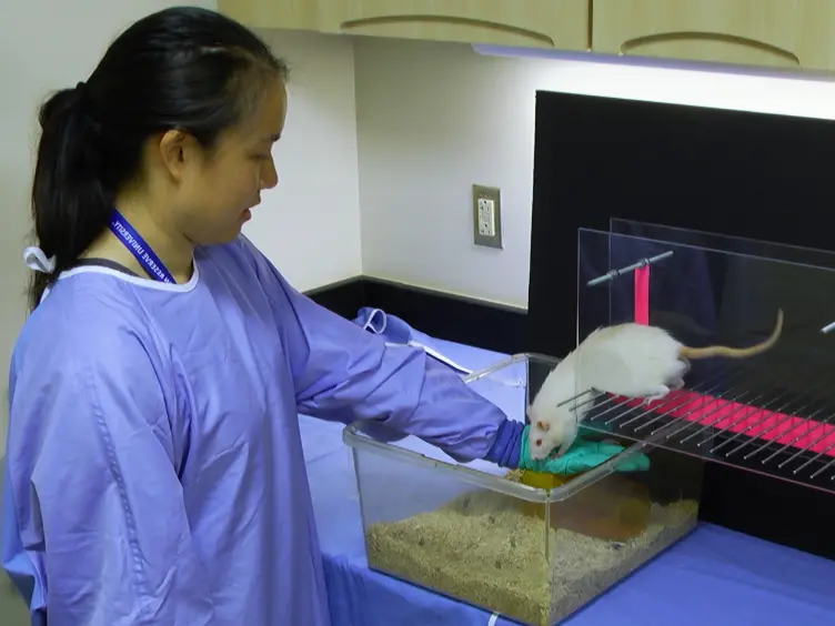 A Novel Single Animal Motor Function Tracking System Using Simple, Readily Available Software