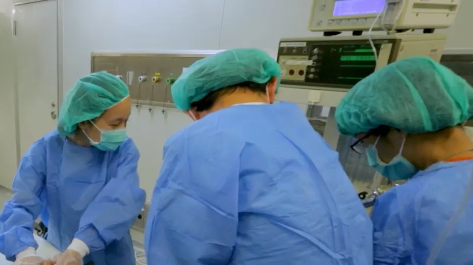 Intra-Operative Neural Monitoring of Thyroid Surgery in a Porcine Model