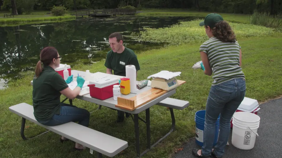 Necropsy-based Wild Fish Health Assessment