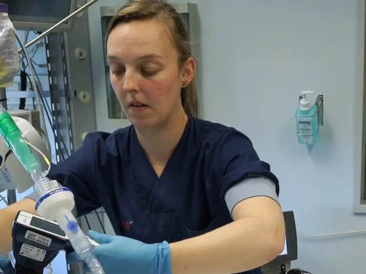 Objective Nociceptive Assessment in Ventilated ICU Patients: A Feasibility Study Using Pupillometry and the Nociceptive Flexion Reflex