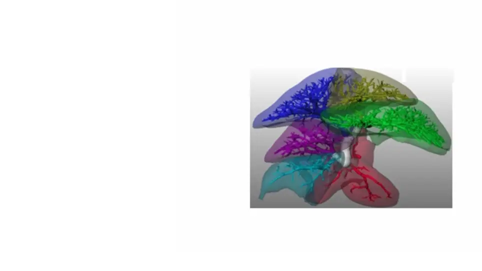 A Novel Surgical Technique As a Foundation for <em>In Vivo</em> Partial Liver Engineering in Rat