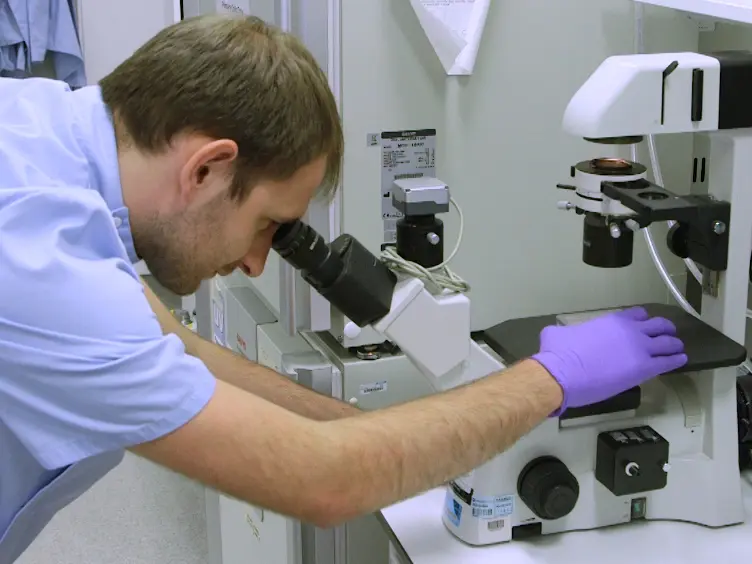 Semi-automated Production of Hepatocyte Like Cells from Pluripotent Stem Cells