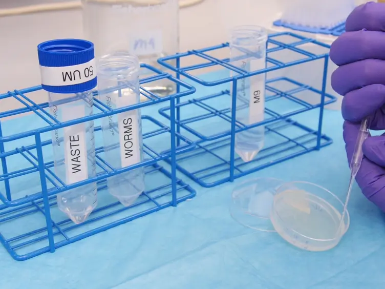 <em>Caenorhabditis</em> Sieve: A Low-tech Instrument and Methodology for Sorting Small Multicellular Organisms