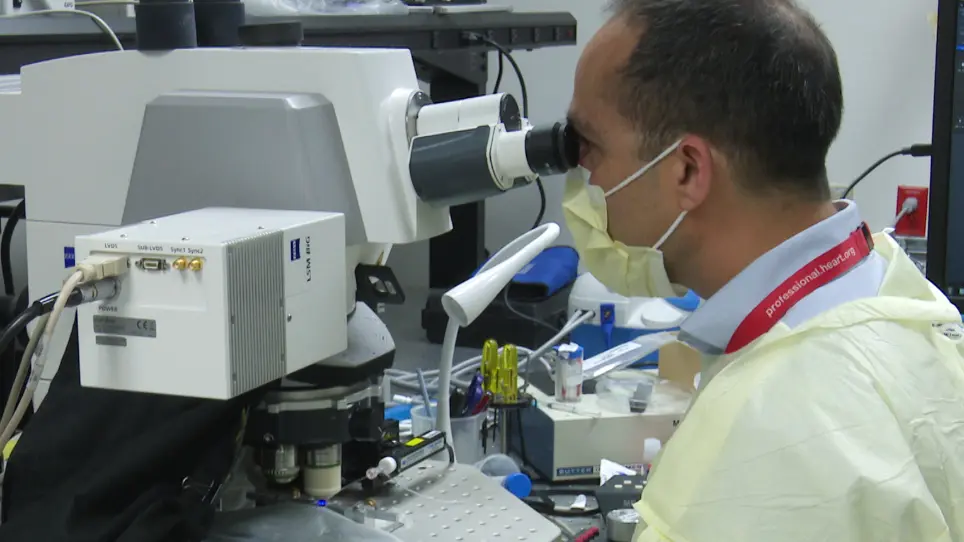 Assessing the Particulate Matter Removal Abilities of Tree Leaves