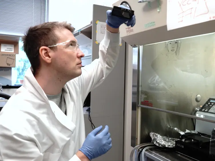 A High-throughput, High-content, Liquid-based <em>C. elegans</em> Pathosystem