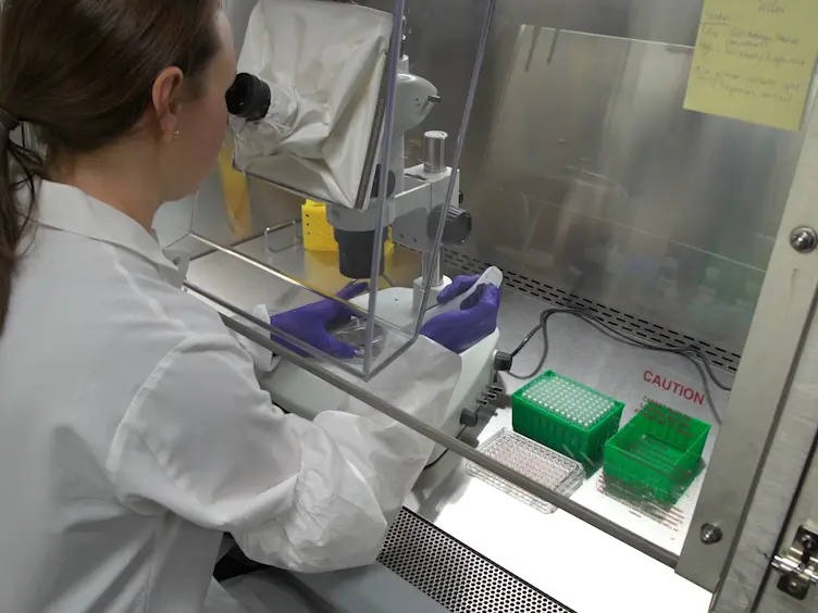 Endogenous Protein Tagging in Human Induced Pluripotent Stem Cells Using CRISPR/Cas9