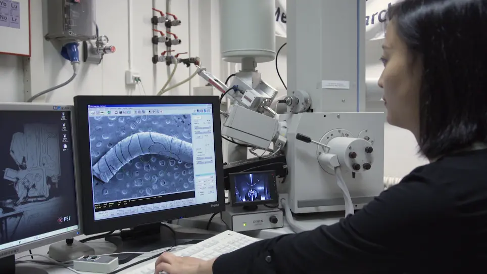 Stereolithographic 3D Printing with Renewable Acrylates