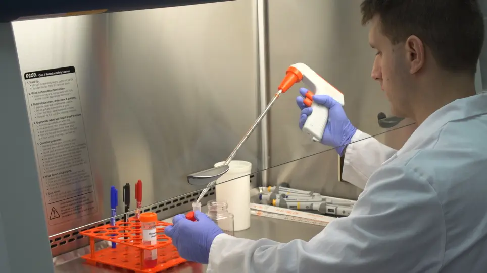 Neurogenesis Using P19 Embryonal Carcinoma Cells