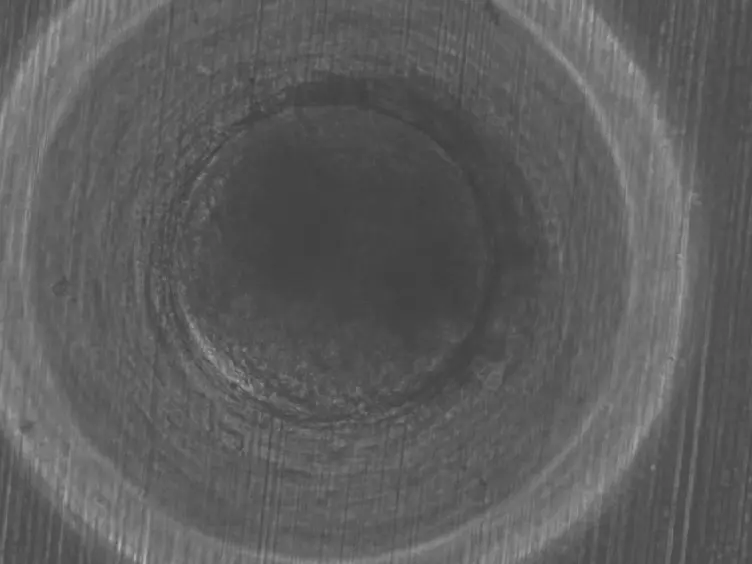 A Net Mold-based Method of Scaffold-free Three-Dimensional Cardiac Tissue Creation