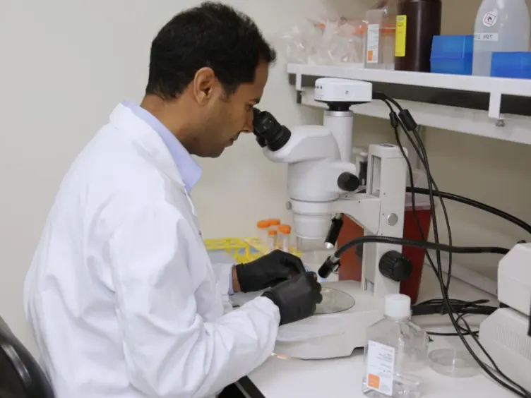 Immunohistochemical Detection of 5-Methylcytosine and 5-Hydroxymethylcytosine in Developing and Postmitotic Mouse Retina