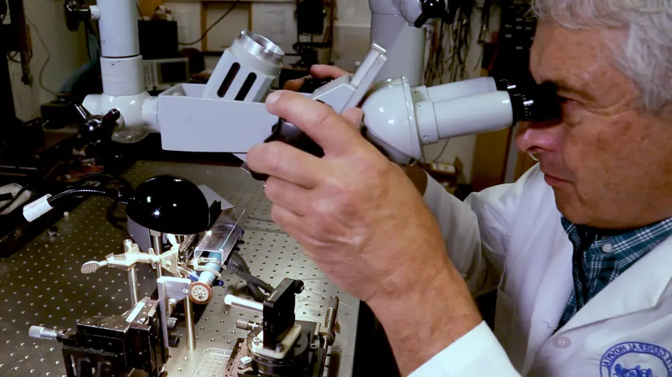 Apparatus for Harvesting Tissue Microcolumns