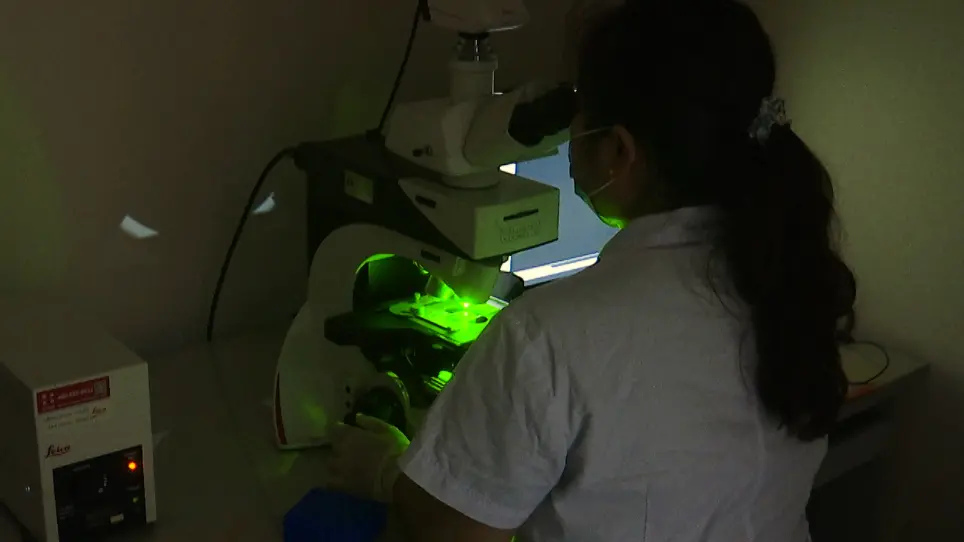 Sub-acute Cerebral Microhemorrhages Induced by Lipopolysaccharide Injection in Rats