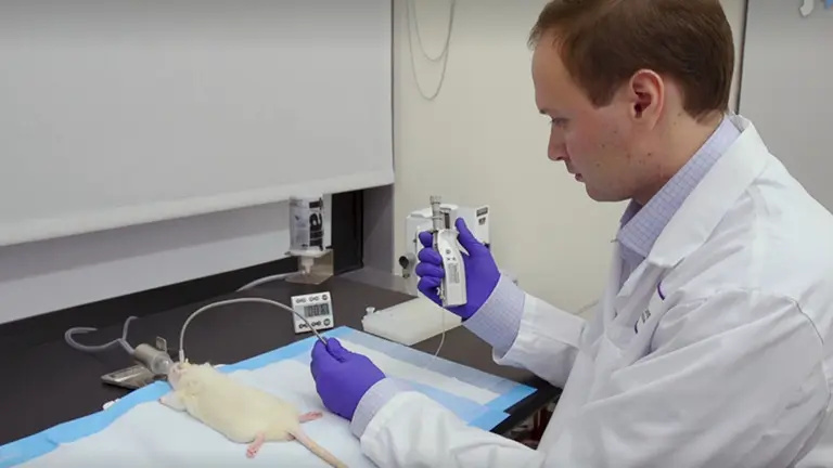 Intracranial Pharmacotherapy and Pain Assays in Rodents