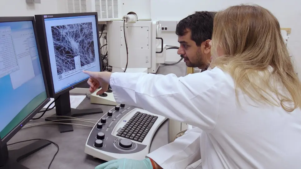 Analysis of &#946;-Amyloid-induced Abnormalities on Fibrin Clot Structure by Spectroscopy and Scanning Electron Microscopy
