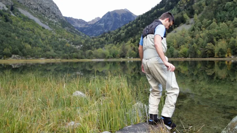 Estimating Sediment Denitrification Rates Using Cores and N<sub>2</sub>O Microsensors