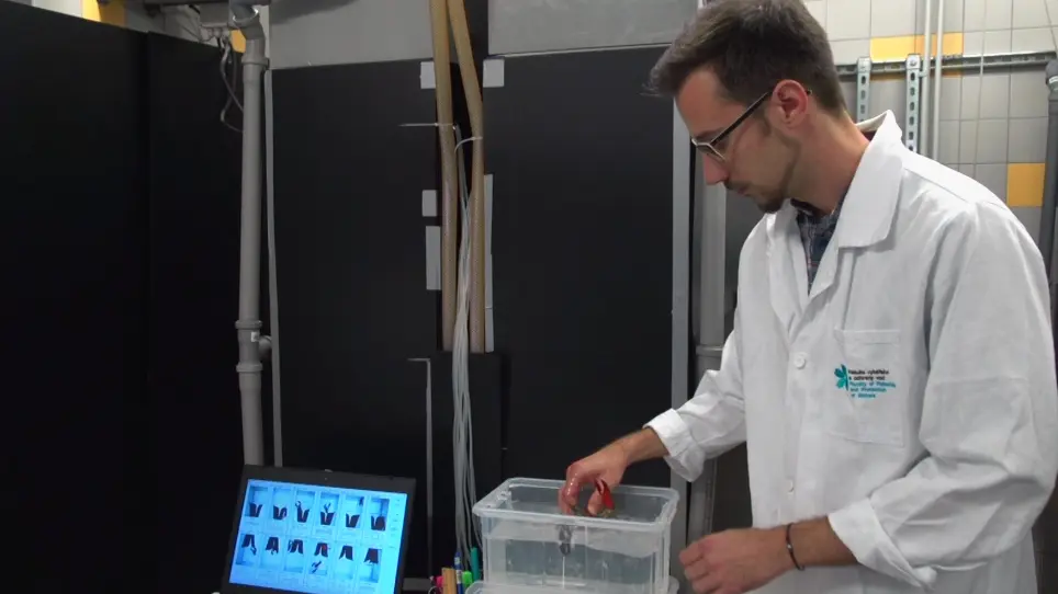 Continuous Noninvasive Measuring of Crayfish Cardiac and Behavioral Activities