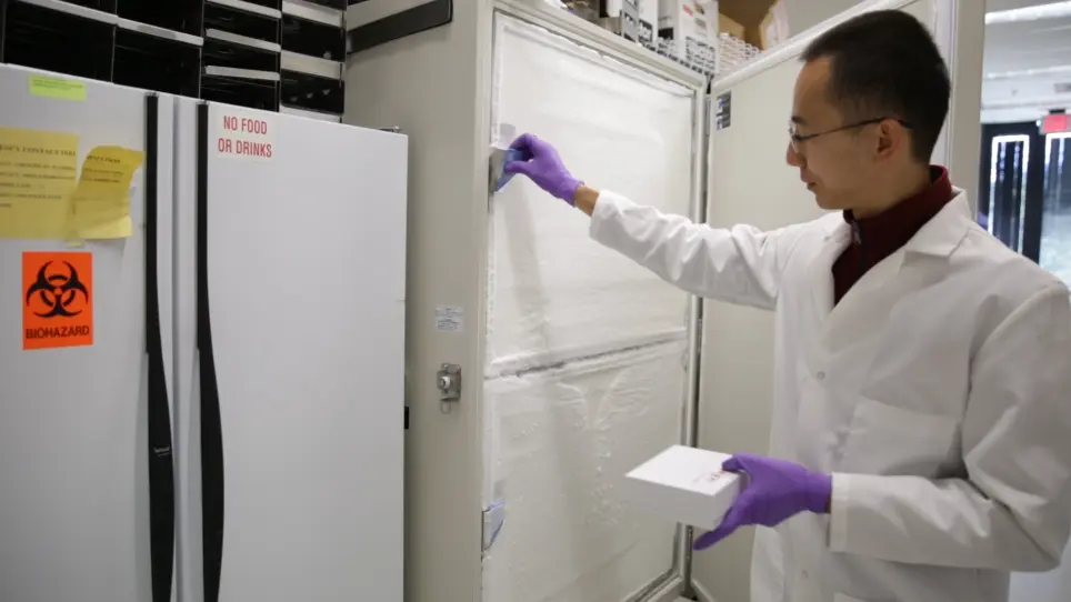 High-resolution Patterned Biofilm Deposition Using pDawn-Ag43