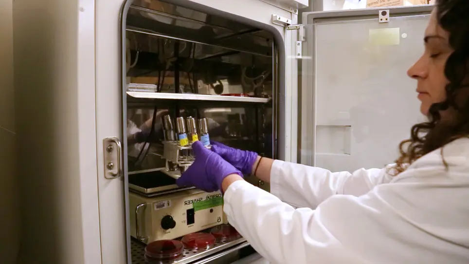 Antimicrobial Synergy Testing by the Inkjet Printer-assisted Automated Checkerboard Array and the Manual Time-kill Method