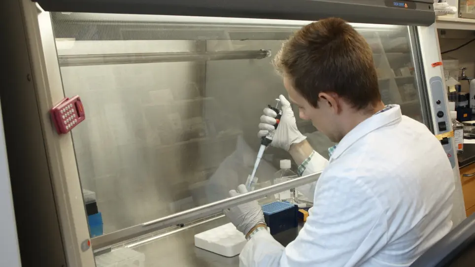 Enrich and Expand Rare Antigen-specific T Cells with Magnetic Nanoparticles