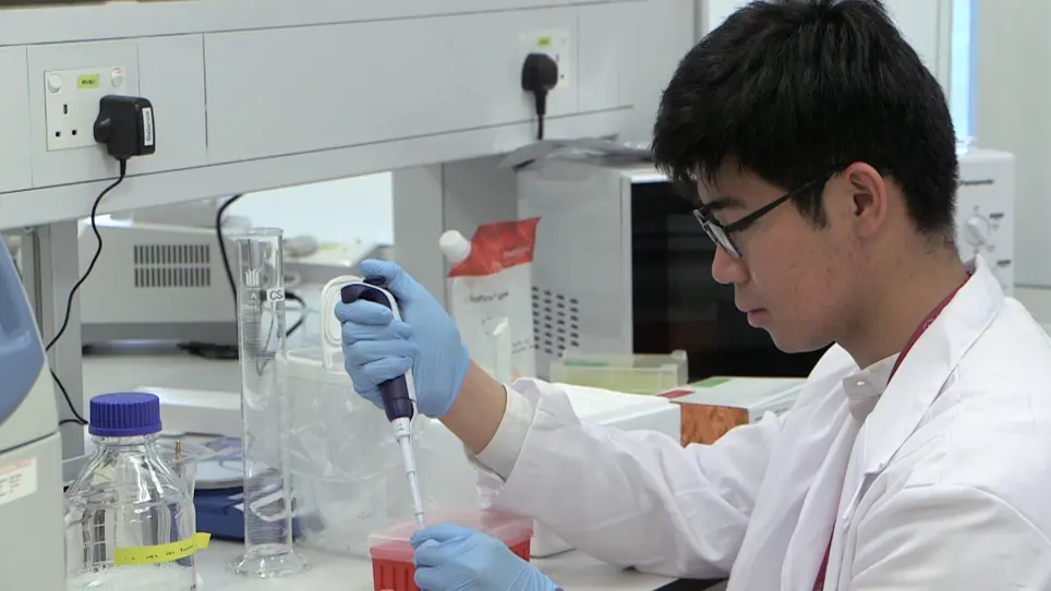 Fluorescent Silver Staining of Proteins in Polyacrylamide Gels
