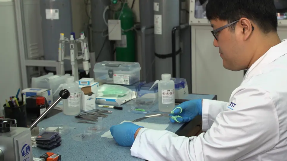 Preparation of Graphene Liquid Cells for the Observation of Lithium-ion Battery Material
