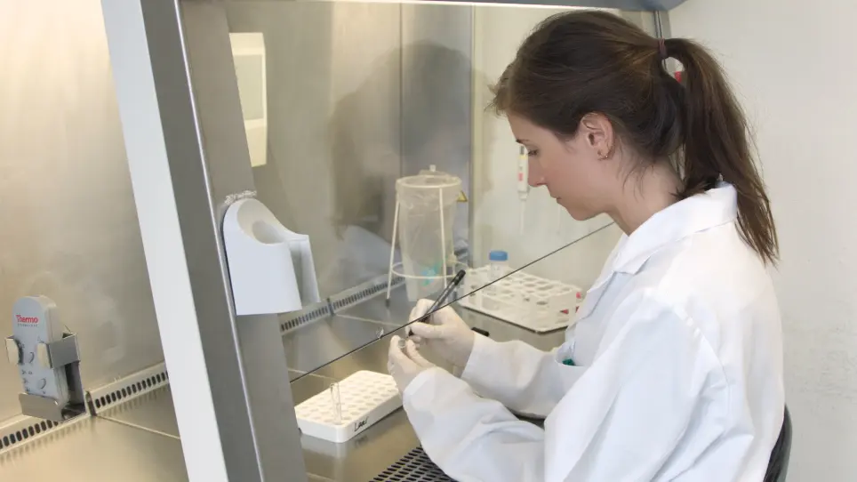 Simultaneous Quantification of Anti-vector and Anti-transgene-Specific CD8<sup>+</sup> T Cells Via MHC I Tetramer Staining After Vaccination with a Viral Vector