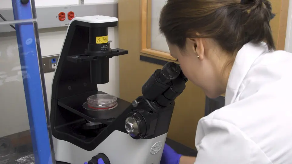 RNA-based Reprogramming of Human Primary Fibroblasts into Induced Pluripotent Stem Cells