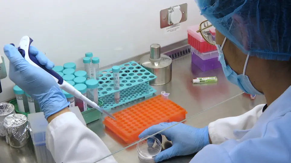 Establishing Cell Lines Overexpressing DR3 to Assess the Apoptotic Response to Anti-mitotic Therapeutics