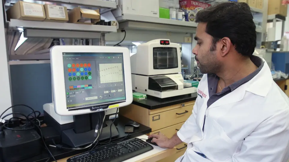 Bio-energetics Investigation of <em>Candida albicans</em> Using Real-time Extracellular Flux Analysis