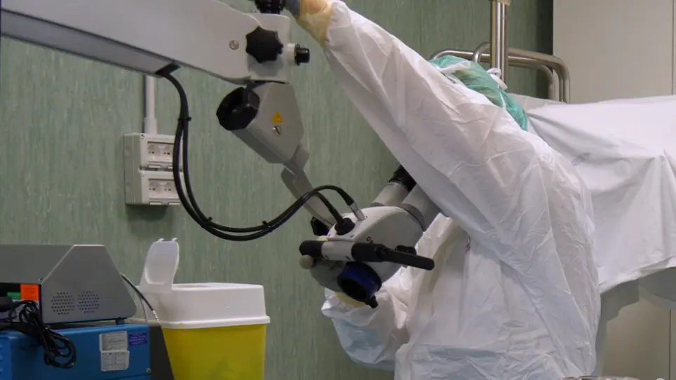 Induction of Mouse Lung Injury by Endotracheal Injection of Bleomycin