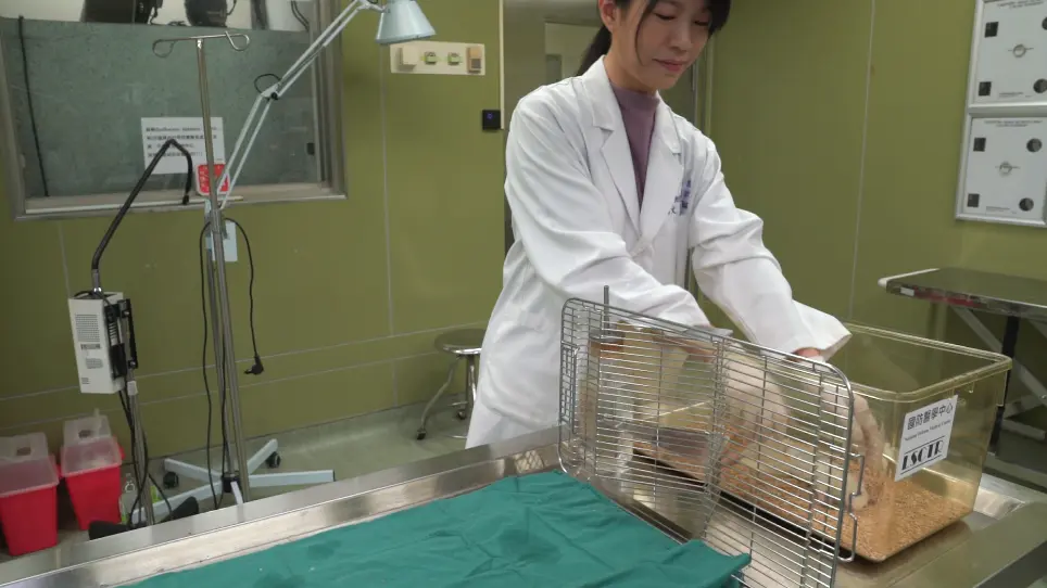Wet-spinning-based Molding Process of Gelatin for Tissue Regeneration