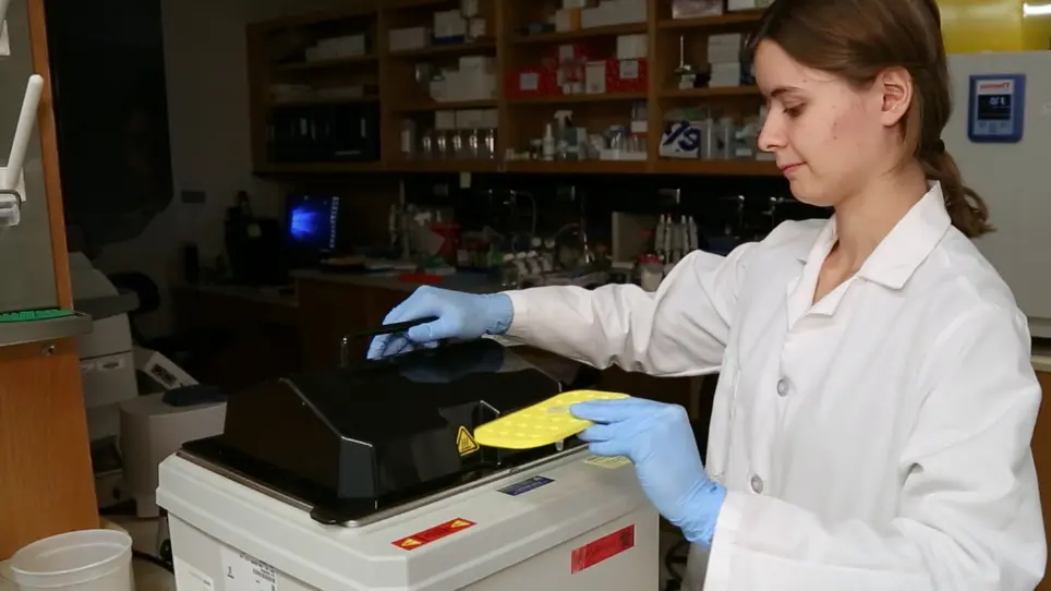 Assessing Stem Cell DNA Integrity for Cardiac Cell Therapy