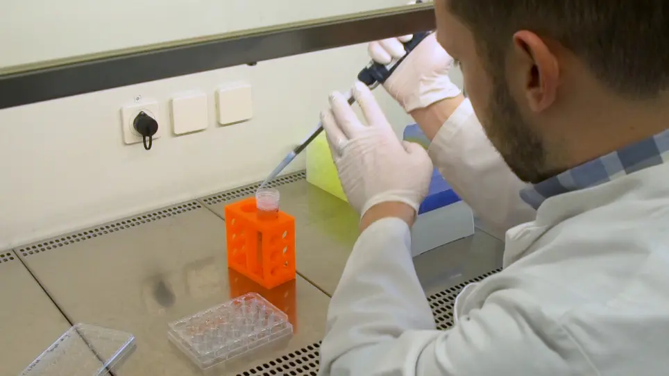 Primary Cell Culture of Purified GABAergic or Glutamatergic Neurons Established through Fluorescence-activated Cell Sorting