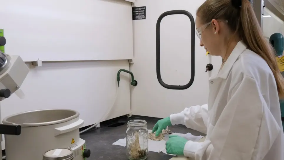 Chemical Isolation, Quantification, and Separation of Skin Lipids from Reptiles