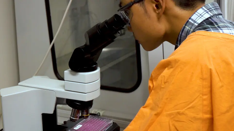 An Improved and High Throughput Respiratory Syncytial Virus (RSV) Micro-neutralization Assay