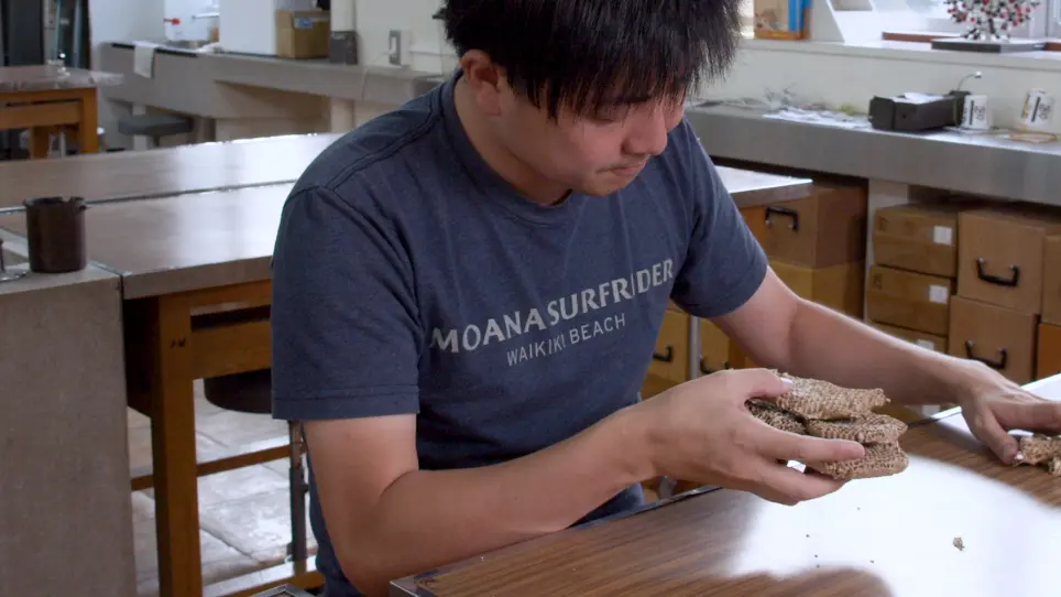 Evaluation of the Productivity of Social Wasp Colonies (Vespinae) and an Introduction to the Traditional Japanese <em>Vespula</em> Wasp Hunting Technique