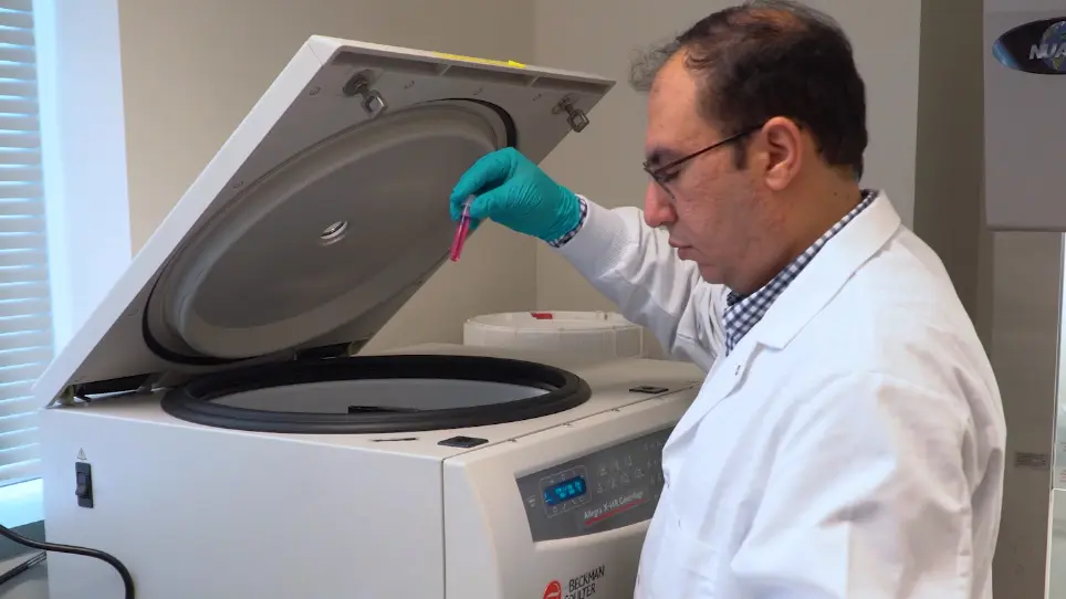 Flow Cytometric Measurement Of ROS Production In Macrophages In Response To Fc&#947;R Cross-linking