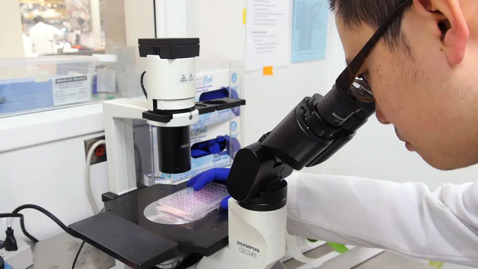 In Vitro Tumor Cell Rechallenge For Predictive Evaluation of Chimeric Antigen Receptor T Cell Antitumor Function