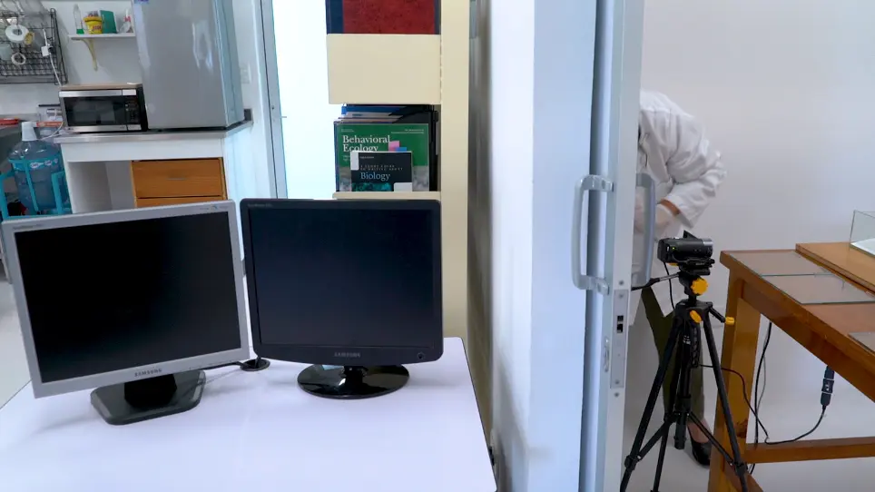 A Laboratory Method to Measure Contagious Yawning in Rats