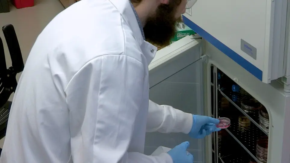 Studying Normal Tissue Radiation Effects using Extracellular Matrix Hydrogels