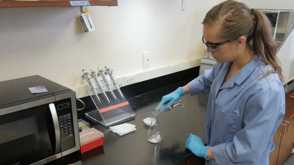 DNA Electrophoresis Using Thiazole Orange Instead of Ethidium Bromide or Alternative Dyes