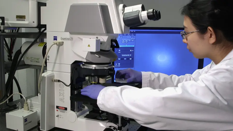 Confocal Live Imaging of Shoot Apical Meristems from Different Plant Species