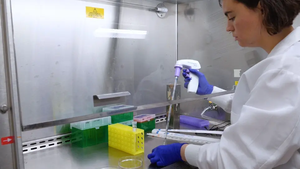 Visualization of Endogenous Mitophagy Complexes In Situ in Human Pancreatic Beta Cells Utilizing Proximity Ligation Assay