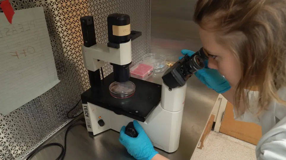 Real-time In Vitro Monitoring of Odorant Receptor Activation by an Odorant in the Vapor Phase