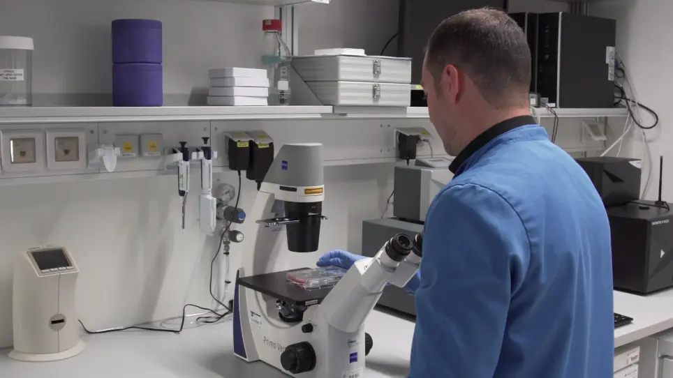 Tissue Collection of Bats for -Omics Analyses and Primary Cell Culture