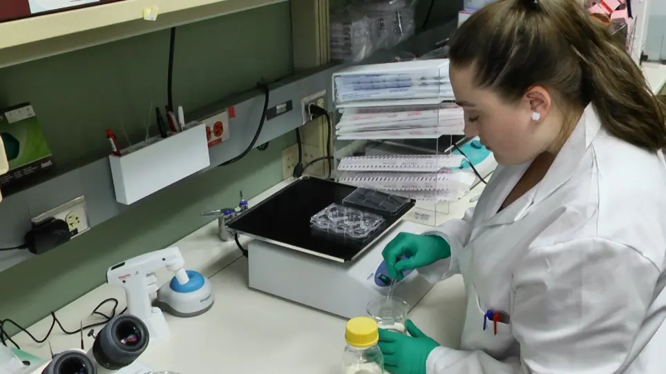 Comprehensive Autopsy Program for Individuals with Multiple Sclerosis