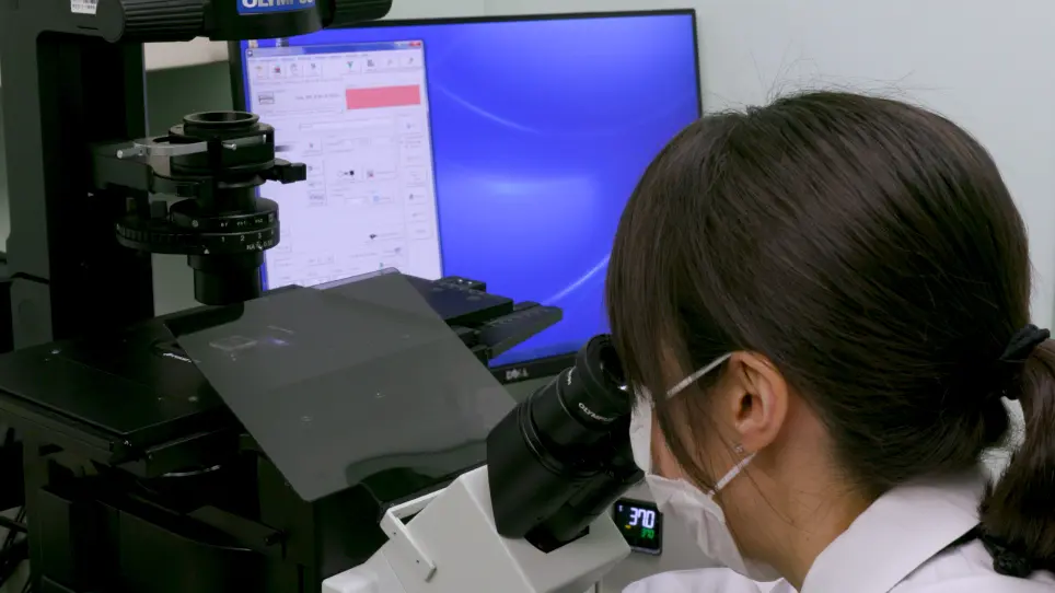 Bacterial Cell Culture at the Single-cell Level Inside Giant Vesicles