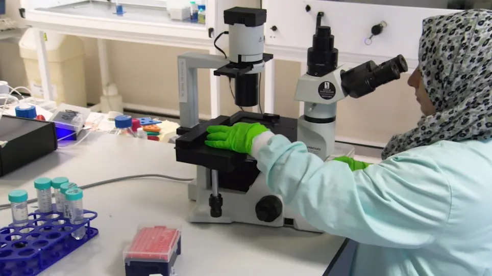Fabrication of Amyloid-&#946;-Secreting Alginate Microbeads for Use in Modelling Alzheimer's Disease