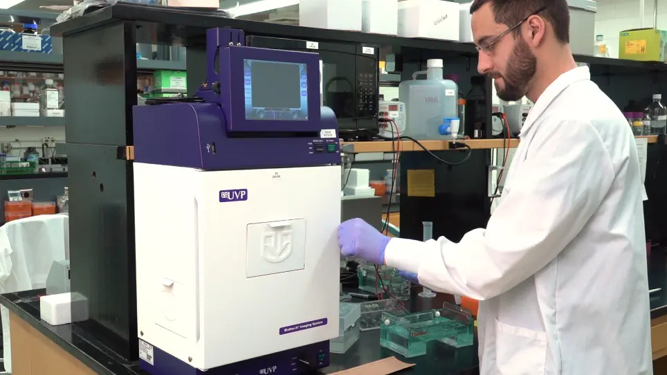 In Vitro Transcribed RNA-based Luciferase Reporter Assay to Study Translation Regulation in Poxvirus-infected Cells